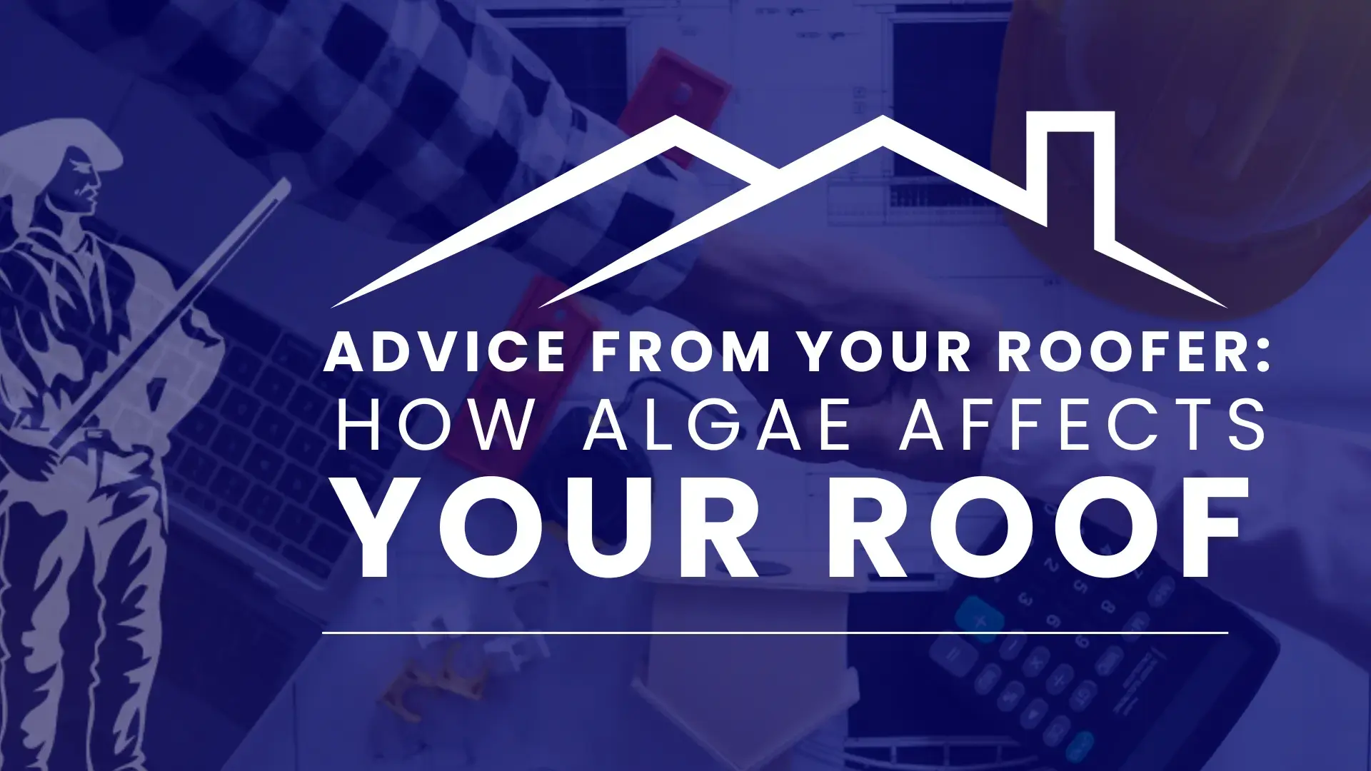 Advice from a Tampa Bay Roofer: How Algae Affects Your Roof