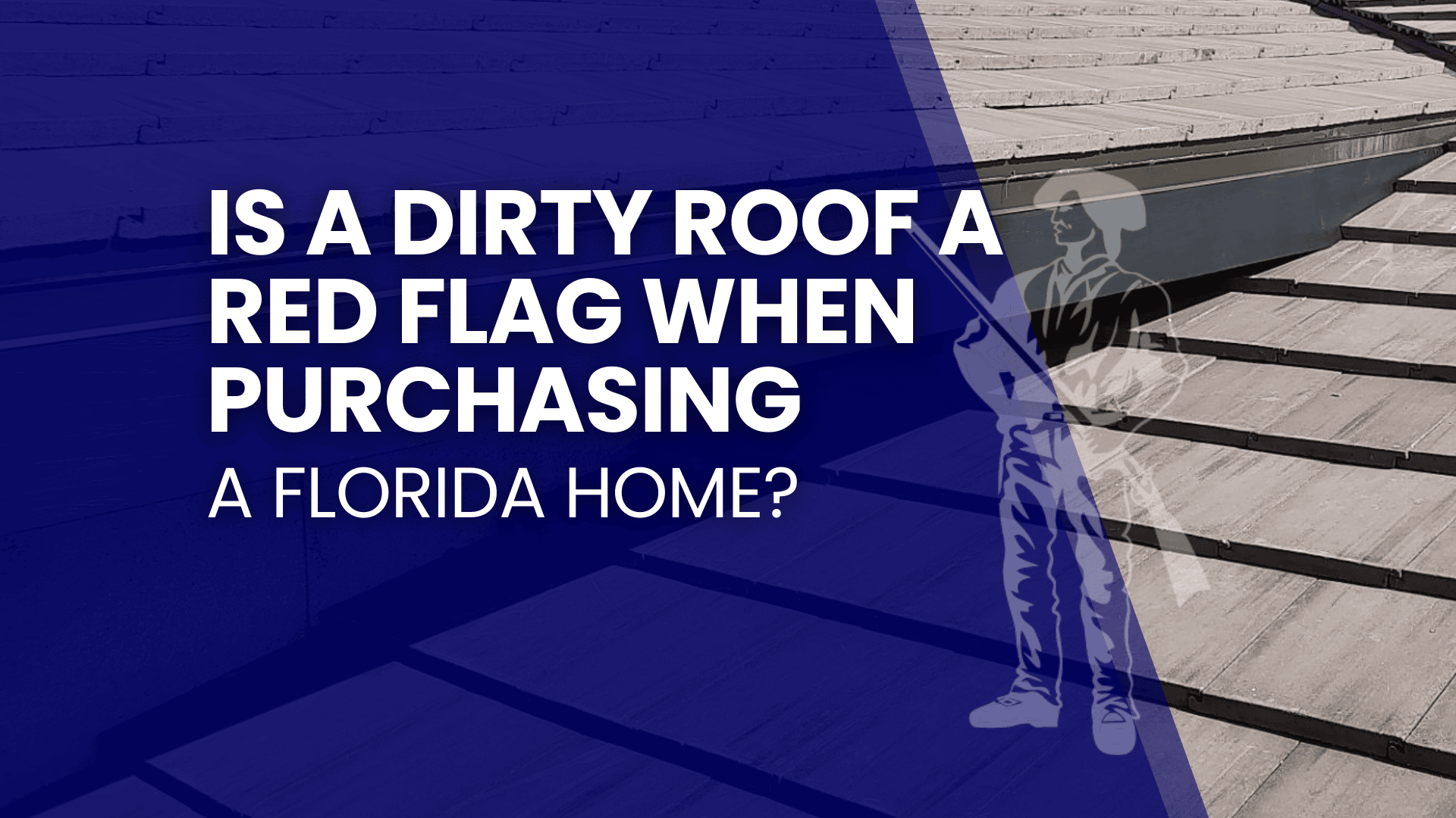 Is a Dirty Roof a Red Flag When Purchasing a Home in Florida?