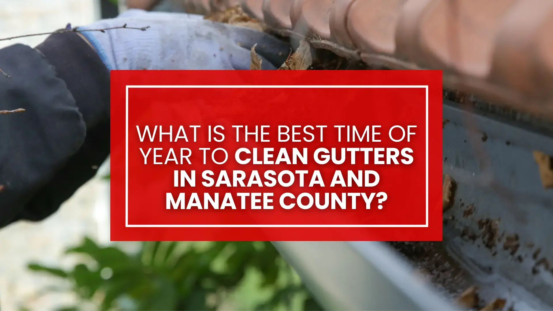 What Is the Best Time of Year to Clean Gutters in Sarasota and Manatee County?