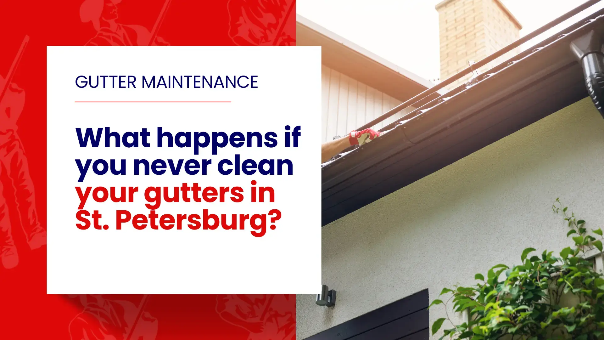 What Happens If You Never Clean Your Gutters in St. Petersburg?
