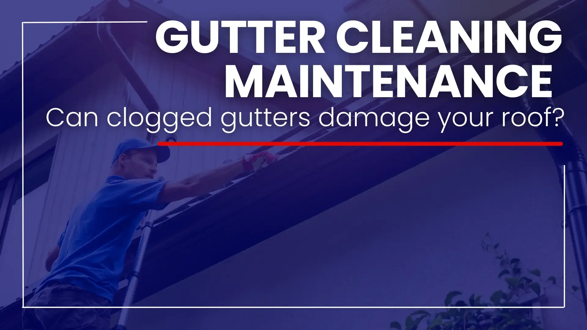 Can Clogged Gutters Damage Your Roof or Foundation in Pinellas County?
