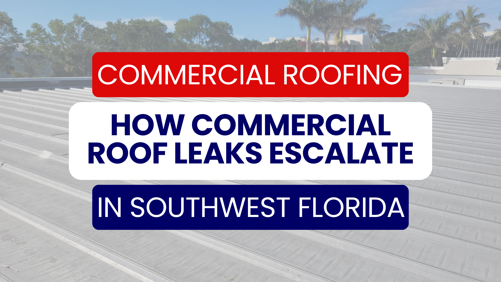 Commercial Building Leak Issues: How Commercial Roof Repairs Escalate in Southwest Florida