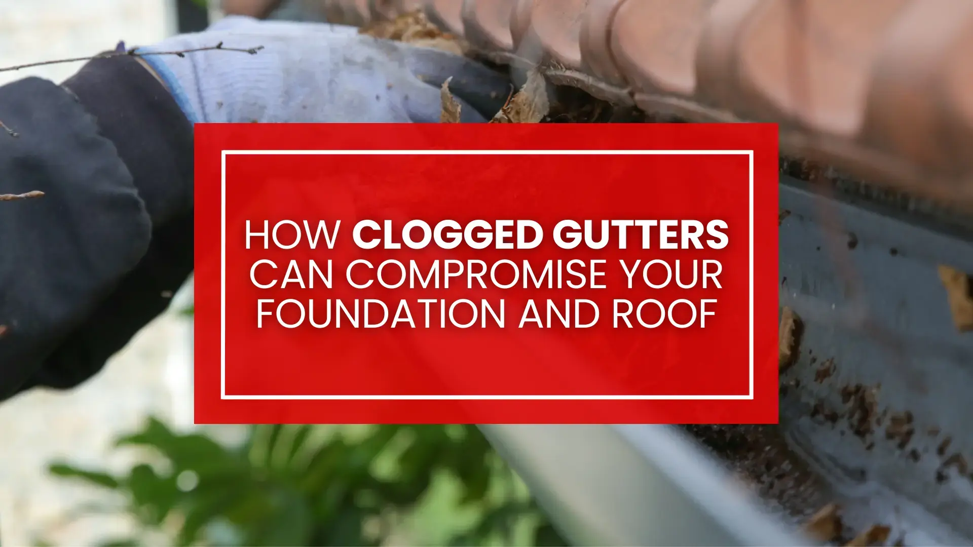 How Clogged Gutters Can Compromise Your Foundation and Roof (And What Florida Homeowners Can Do About It)